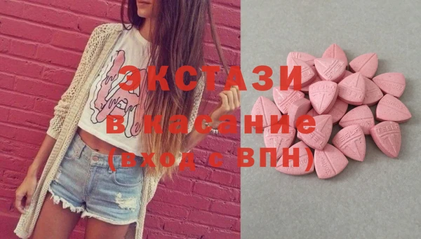 стаф Дмитриев