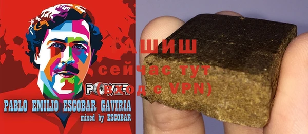 стаф Дмитриев