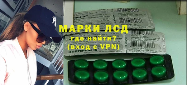 стаф Дмитриев